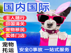 梅州航空托运国际宠物托运 【国